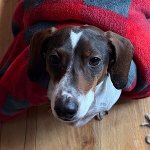 Meet your Posher, Tori